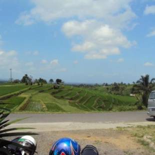 Фотографии мини отеля
Teras Subak Jatiluwih