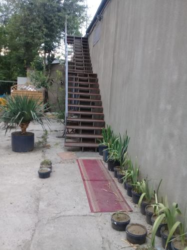 Фотографии хостела 
            Резо