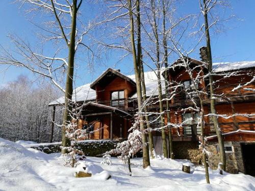 Фотографии гостиницы
Поляна Птиц