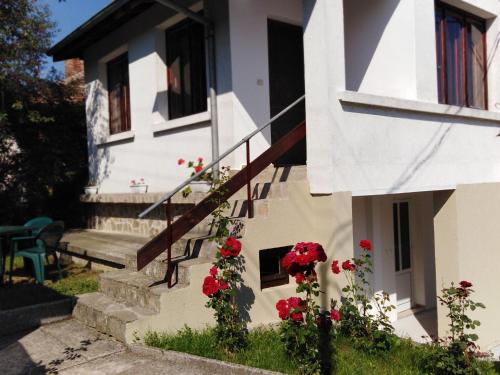 Фотографии гостевого дома 
            Къща Рачеви