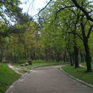 Фотография Лычаковский парк