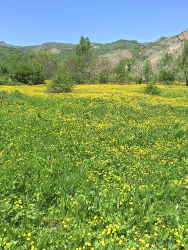 Фотография гостевого дома Hors House