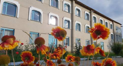 Фотография пансионата Илбирс Парк отель