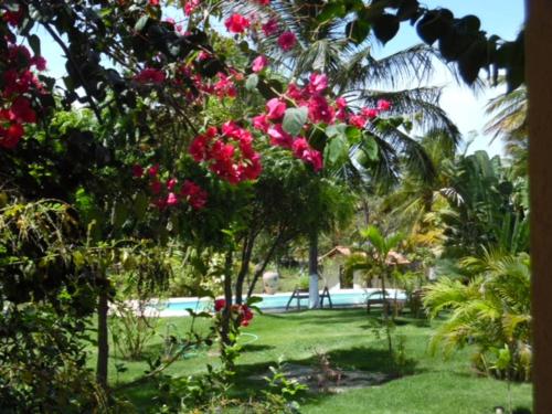 Фотография мини отеля Pousada Malea