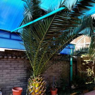 Фотография гостевого дома Blacksea_holiday