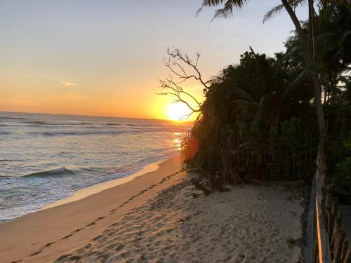 Фотография Коттеджа Royal Indigo Villa