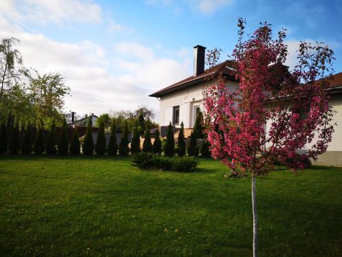 Фотографии гостевого дома
Усадьба Куты