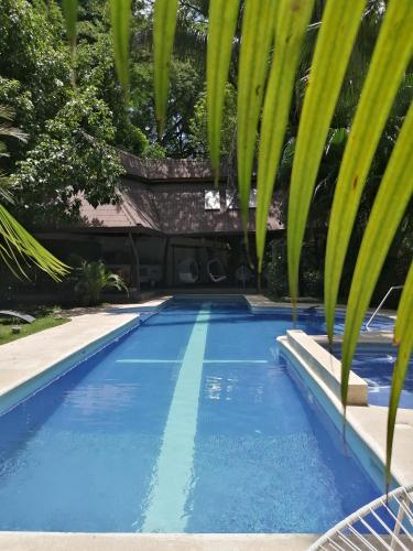 Фотография гостиницы The Gardens Hotel