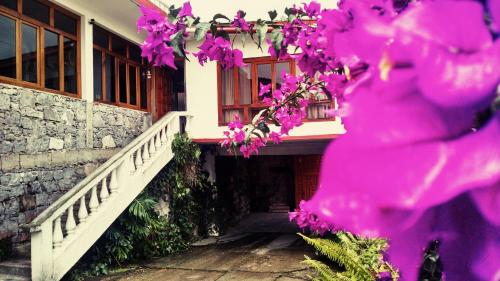 Фотография гостиницы Meson Yohualichan