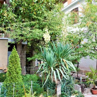 Фотография гостевого дома Гостевой дом Радмир