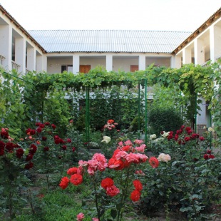 Фотография гостиницы Солнечная Орхидея