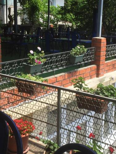 Фотографии гостевого дома
Аракс