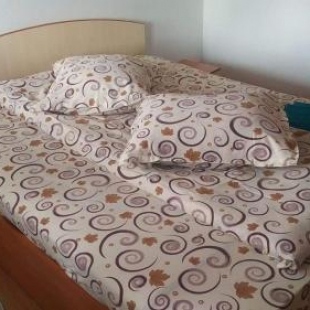 Фотография гостевого дома Pensiunea Lăcrămioara