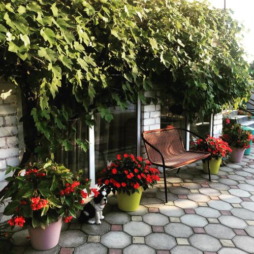 Фотография гостевого дома Лазурное