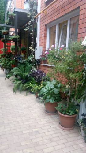 Фотография гостевого дома Мамба