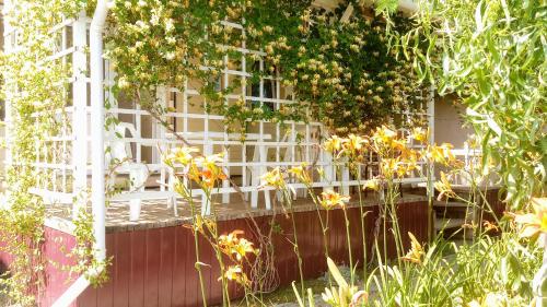 Фотографии мини отеля
Морская