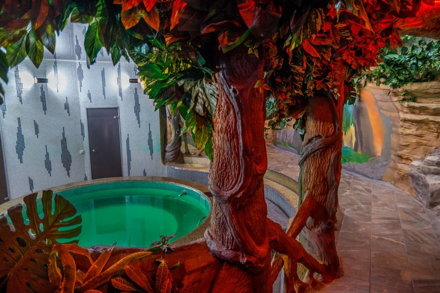 Фотография сауны Чапаев