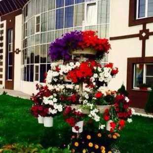 Фотография гостиницы Сочи