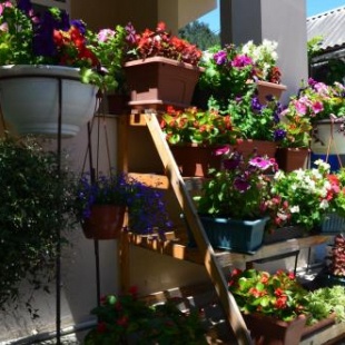 Фотография гостевого дома Уют