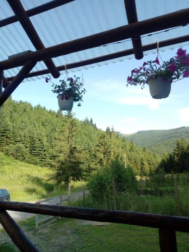 Фотография гостевого дома Csillag kulcsoshaz