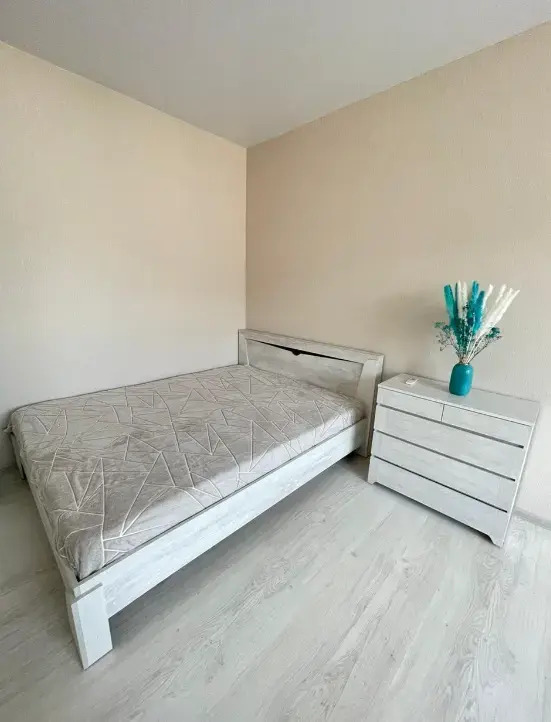 Фотография квартиры Апартаменты Однокомнатная с 4 мя местами Больничная 2_8