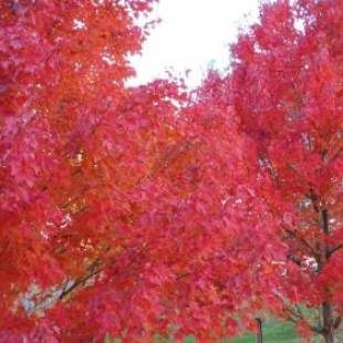 Фотографии гостевого дома
HEALESVILLE GETAWAY