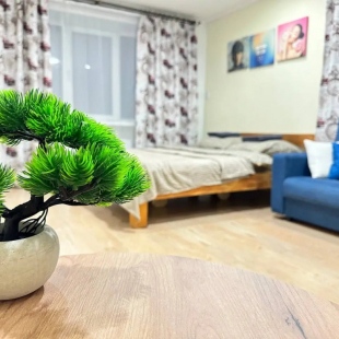 Фотография квартиры Квартира на Кирова 71