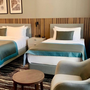 Фотография номера гостиницы Парк Отель Владикавказ