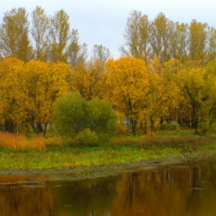 Фотография достопримечательности Парк им. 40-летия ВЛКСМ