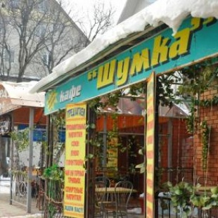 Фотография мини отеля Шумка