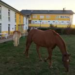 Фотография гостиницы i-Motel