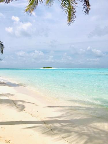 Фотография гостевого дома Veli Beach Inn