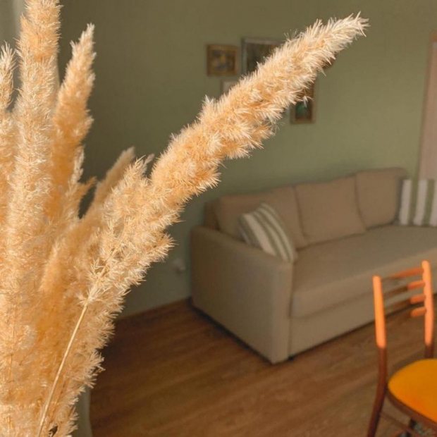 Фотографии квартиры
Апартаменты на улице Университетская Набережная 52