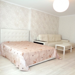 Фотография квартиры Апартаменты Авиаторов 42