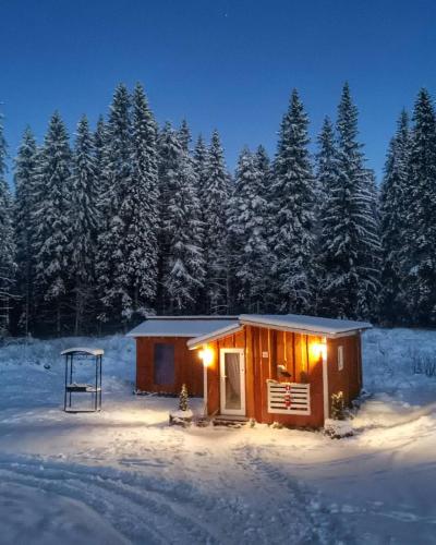 Фотографии гостевого дома
Кемпинг Лесная Поляна