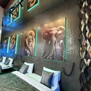 Фотография квартиры Апартаменты Лофт Apart Energy с Джакузи и Видом на Озеро