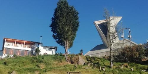 Фотография гостиницы Hotel El Cangrejo