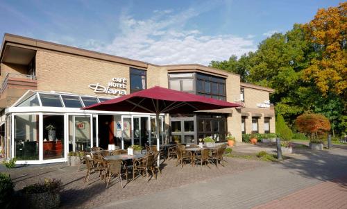 Фотография гостиницы Hotel Diana