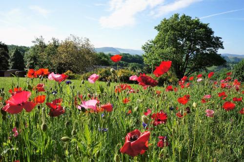 Фотография гостевого дома Domaine des Marequiers Le Gite Asphodèle