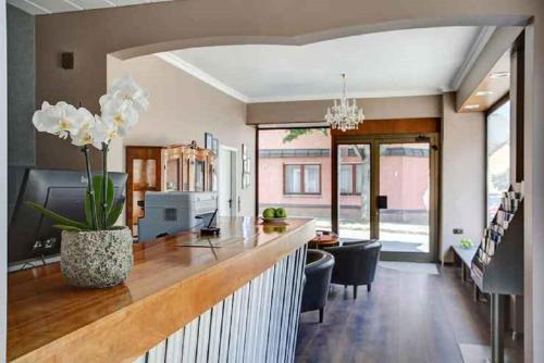 Фотографии гостиницы 
            Hotel Hafner