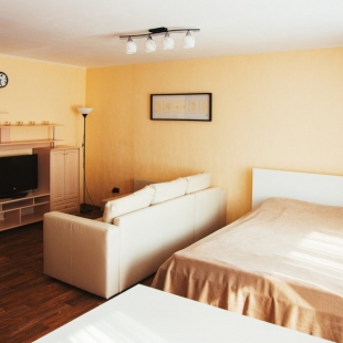 Фотография квартиры Апартаменты Калина на Машиностроителей 41