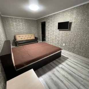 Фотография квартиры Квартира Однокомнатная Красная 68