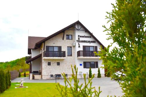 Фотографии гостевого дома
Pensiunea Perla Transilvaniei