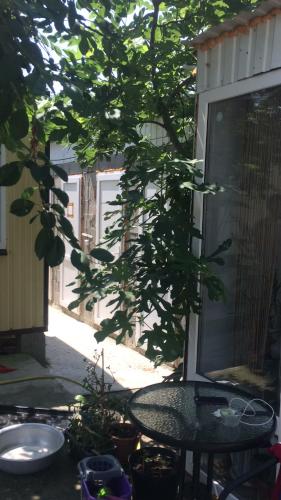 Фотографии кемпинга
Эра