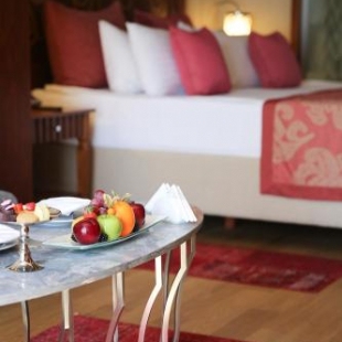 Фотография гостиницы The Arkin Colony Hotel