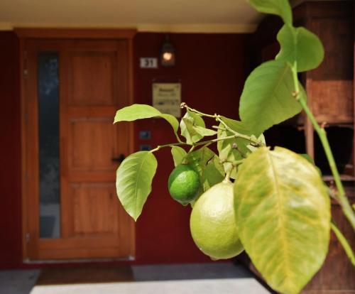 Фотография базы отдыха Resort Bacca Blu