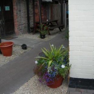 Фотография мини отеля The Swan