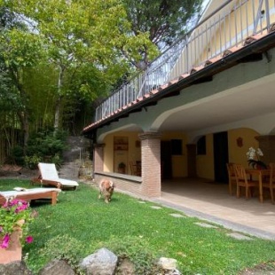 Фотография гостевого дома Casa Vacanze Il Bamboo