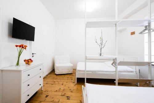 Фотография мини отеля Guesthouse Slavia - apartmány s vinným sklípkem