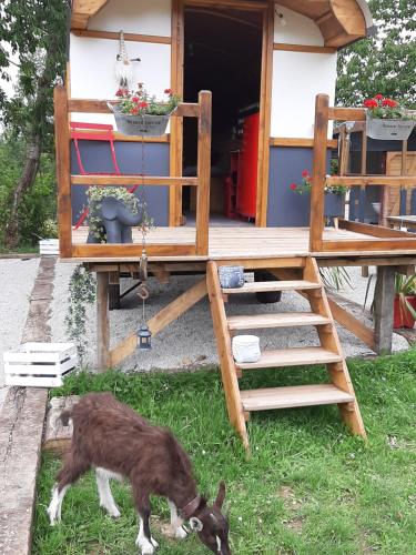 Фотографии кемпинга
LA ROULOTTE DE GERMAINE